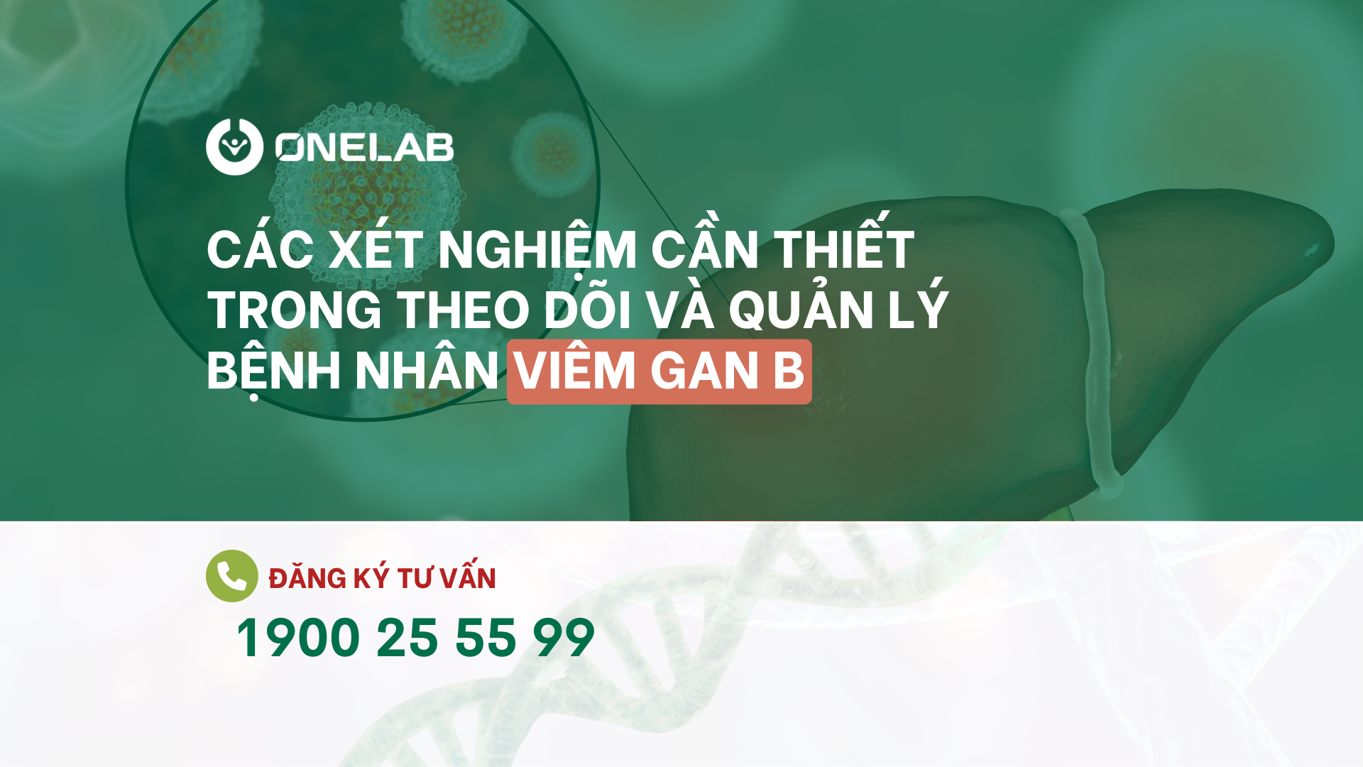 Các xét nghiệm cần thiết trong theo dõi và quản lý bệnh nhân viêm gan B