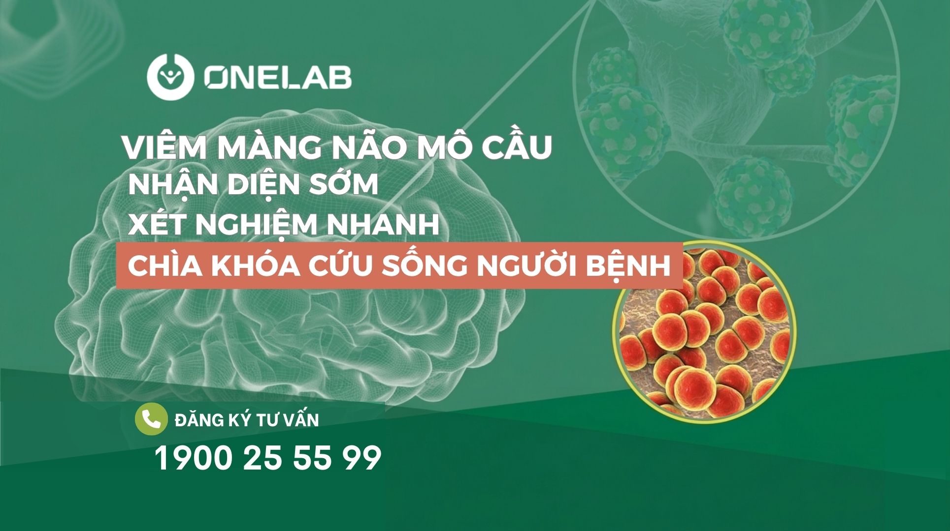 viem-mang-nao-mo-cau