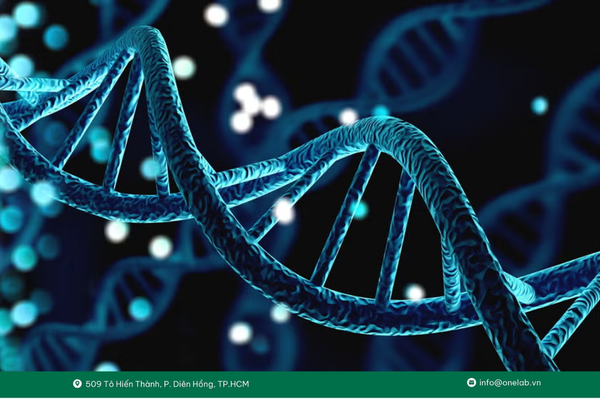 OneTRACE phát hiện ctDNA và đánh giá bệnh tồn dư tối thiểu (MRD)